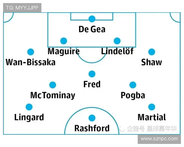 热刺签德泽尔比:战术匹配与风险评估